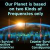19  Frequencies