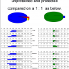 24  Besa Test comparison before after